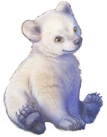 Spirit-Bear-1